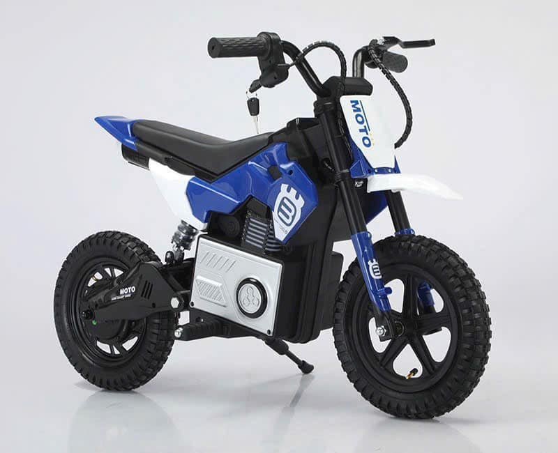 Xe máy điện cào cào 24V BDQ6988